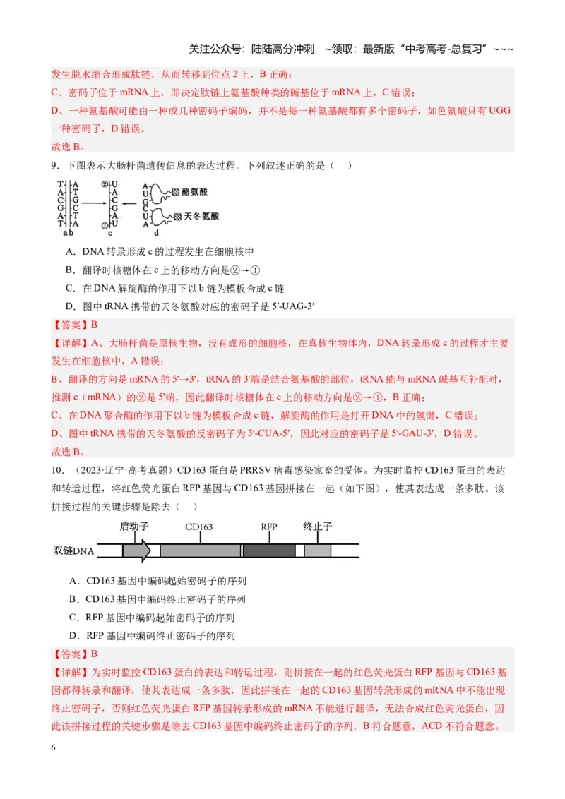 《第22讲基因的表达、基因与性状的关系（专项训练）（安徽专用）（教师版）_06-生物-高考总复习_一轮复习_2026年-生物高考一轮复习_2026年高考生物一轮课件+讲义+练习（安徽专用）-G326》第6页预览