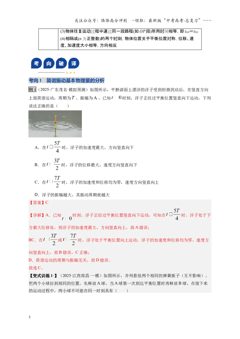 《第30讲机械振动（复习讲义）（湖南专用）（教师版）_04-物理-高考总复习_一轮复习_2026年-物理高考一轮复习_2026年高考物理一轮课件+讲义+练习（湖南专用）-G331》第5页预览