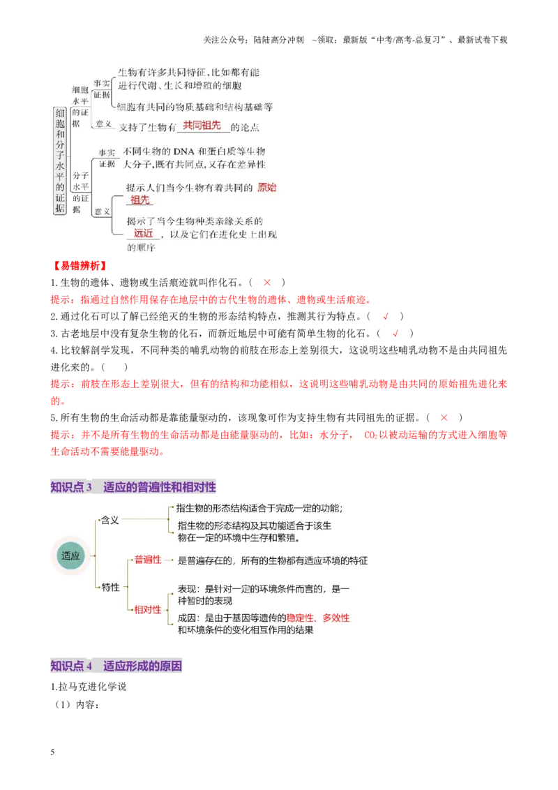 《第23讲生物的进化（讲义）（教师版）_06-生物-高考总复习_一轮复习_2025年_2025年新高考生物一轮复习讲义PPT知识点习题训_资料_第七单元生物的变异和进化》第5页预览
