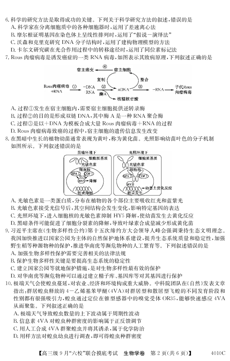 《13_广东省清中、河中、北中、惠中、阳中、茂中等6校2023-2024学年高三上学期第一次联考生物_2025版教学资源包_（总复习系列）2025版《5年高考3年模拟》新高考版A版（⭐全科）》第2页预览