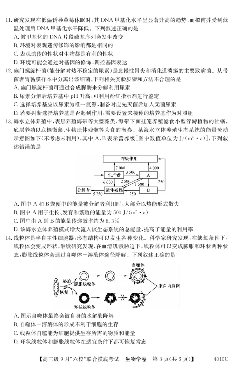 《13_广东省清中、河中、北中、惠中、阳中、茂中等6校2023-2024学年高三上学期第一次联考生物_2025版教学资源包_（总复习系列）2025版《5年高考3年模拟》新高考版A版（⭐全科）》第3页预览
