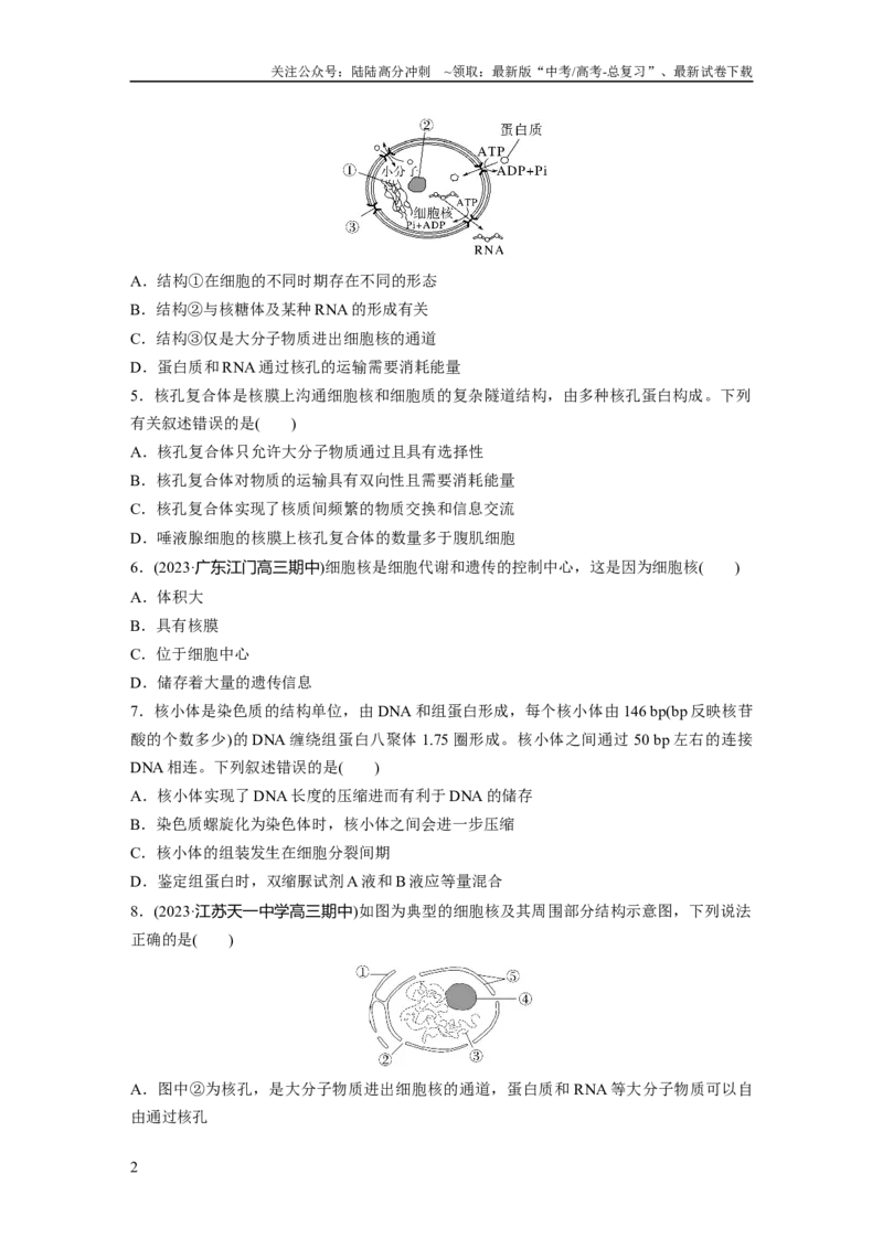 《第2单元　课时练3　细胞核的结构和功能_06-生物-高考总复习_一轮复习_2024年_2024高考生物大一轮复习课件讲义新人教版知识总结_2024年高考生物一轮复习讲义（新人教版）_一轮复习69练》第2页预览