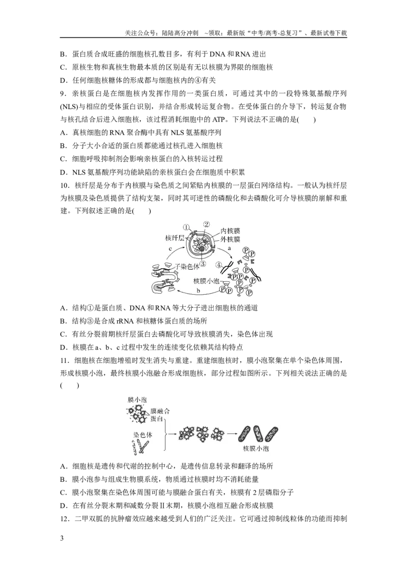 《第2单元　课时练3　细胞核的结构和功能_06-生物-高考总复习_一轮复习_2024年_2024高考生物大一轮复习课件讲义新人教版知识总结_2024年高考生物一轮复习讲义（新人教版）_一轮复习69练》第3页预览