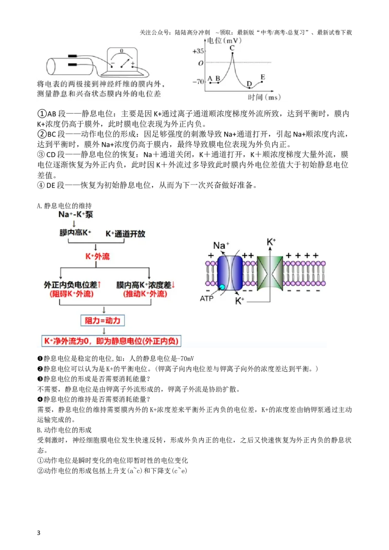 《第26.2讲神经冲动的产生、传导和传递（讲义）（学生版）_06-生物-高考总复习_一轮复习_2024年_2024年高考生物一轮复习讲练测(课件+讲义+练习)（新高考）_讲义+练习》第3页预览