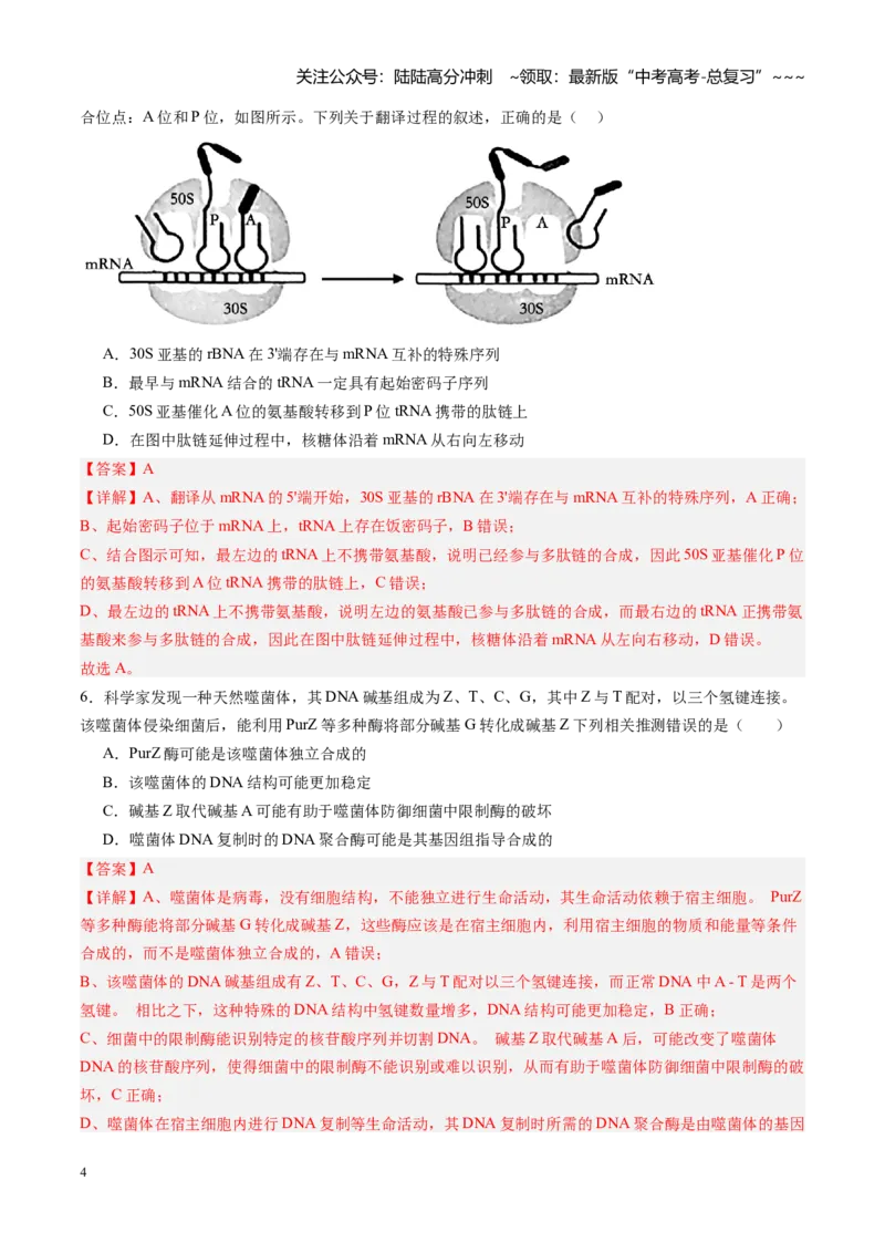 《第22讲基因的表达（专项训练）（福建专用）（解析版）_06-生物-高考总复习_一轮复习_2026年-生物高考一轮复习_2026年高考生物一轮课件+讲义+练习（福建专用）-G328》第4页预览
