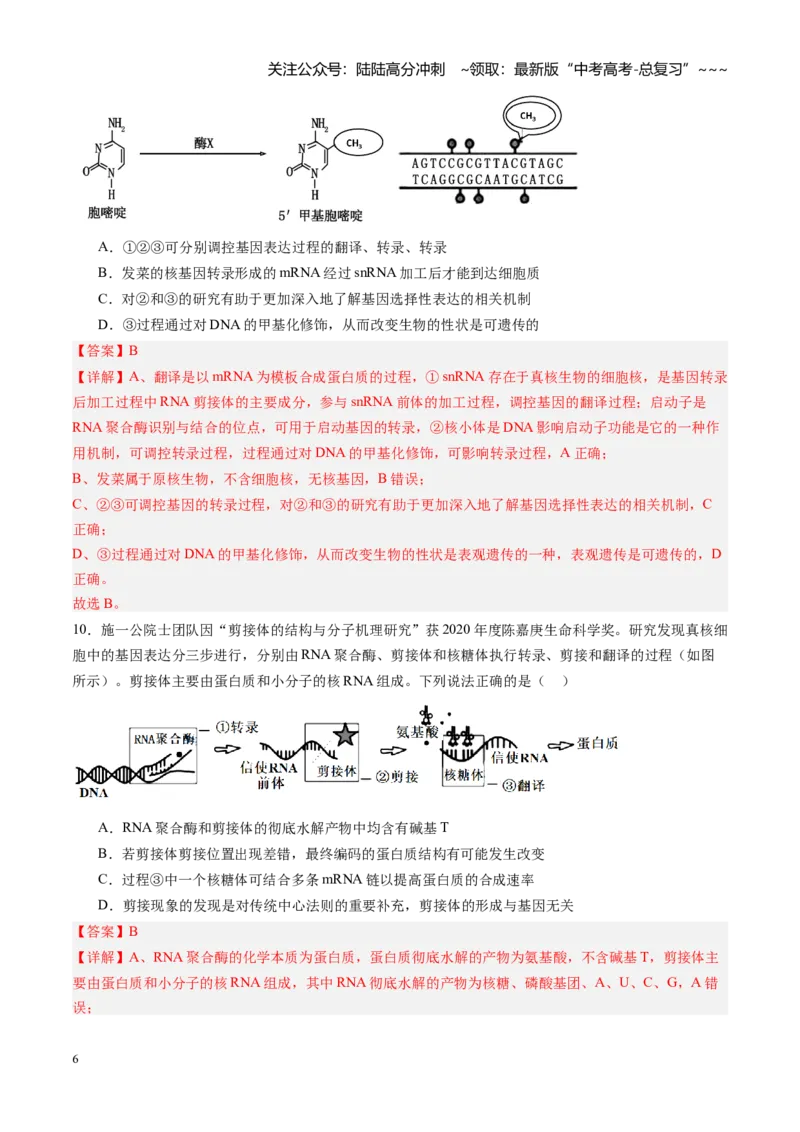 《第22讲基因的表达（专项训练）（福建专用）（解析版）_06-生物-高考总复习_一轮复习_2026年-生物高考一轮复习_2026年高考生物一轮课件+讲义+练习（福建专用）-G328》第6页预览