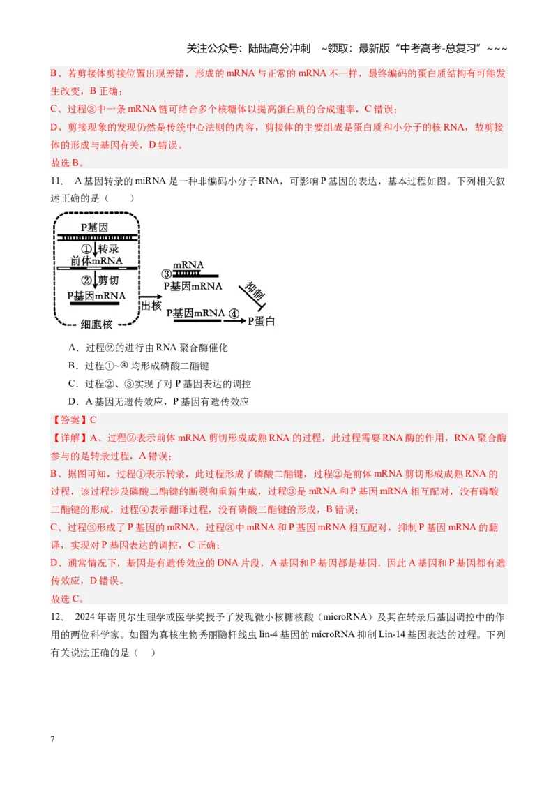 《第22讲基因的表达（专项训练）（福建专用）（解析版）_06-生物-高考总复习_一轮复习_2026年-生物高考一轮复习_2026年高考生物一轮课件+讲义+练习（福建专用）-G328》第7页预览
