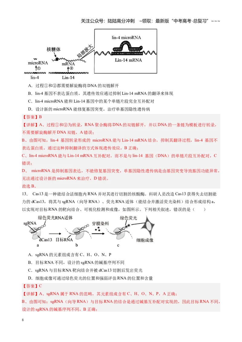 《第22讲基因的表达（专项训练）（福建专用）（解析版）_06-生物-高考总复习_一轮复习_2026年-生物高考一轮复习_2026年高考生物一轮课件+讲义+练习（福建专用）-G328》第8页预览