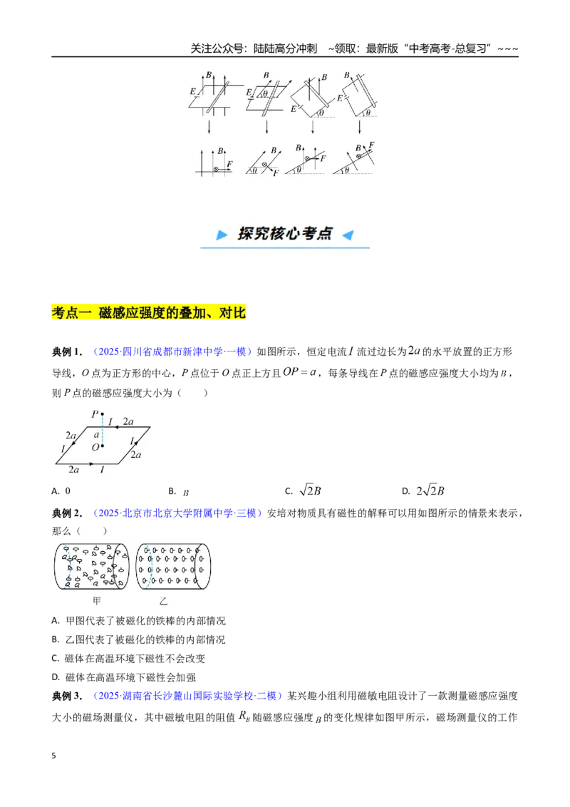 《第31讲磁场的性质及安培力（高效培优讲义）（学生版）_04-物理-高考总复习_一轮复习_2026年-物理高考一轮复习_2026年高考物理一轮复习考点精讲精练（新高考通用）-G58_2026版》第5页预览