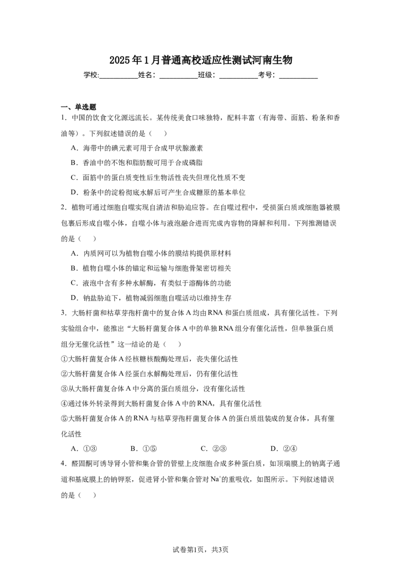 《17_2025年1月普通高校适应性测试河南生物_2026版教学资源包_202653高考总复习A版_新高考_生物_教师A版2026年.新高考版.生物.53_优质模拟题精选（Word）_1_资源拓展》第1页预览