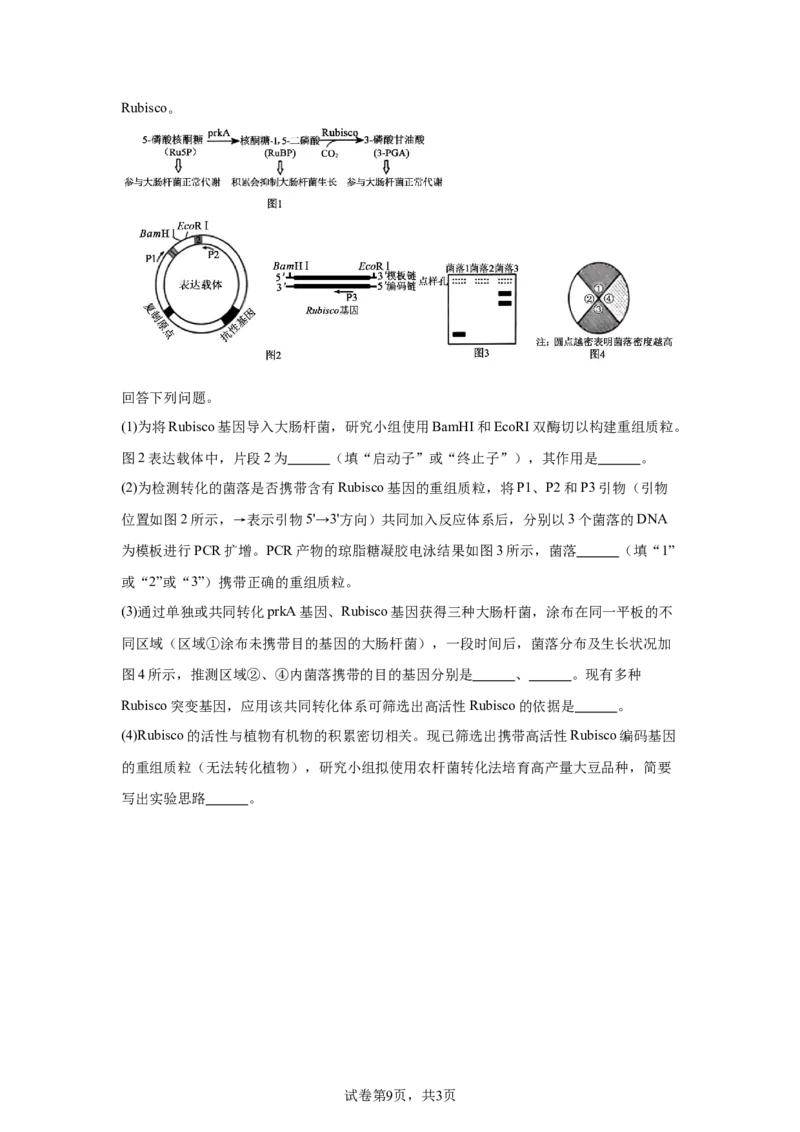 《17_2025年1月普通高校适应性测试河南生物_2026版教学资源包_202653高考总复习A版_新高考_生物_教师A版2026年.新高考版.生物.53_优质模拟题精选（Word）_1_资源拓展》第9页预览