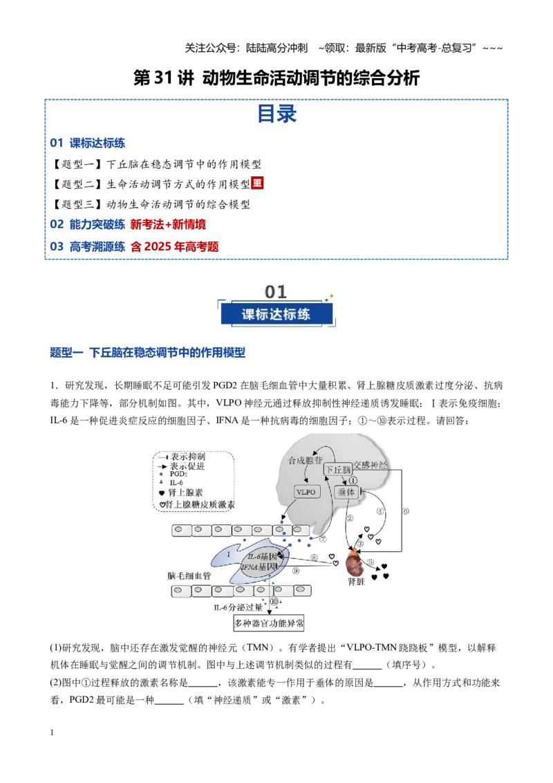 《第31讲动物生命活动调节的综合分析（专项训练）（安徽专用）（教师版）_06-生物-高考总复习_一轮复习_2026年-生物高考一轮复习_2026年高考生物一轮课件+讲义+练习（安徽专用）-G326》第1页预览
