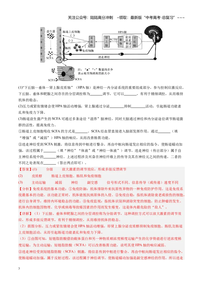 《第31讲动物生命活动调节的综合分析（专项训练）（安徽专用）（教师版）_06-生物-高考总复习_一轮复习_2026年-生物高考一轮复习_2026年高考生物一轮课件+讲义+练习（安徽专用）-G326》第3页预览