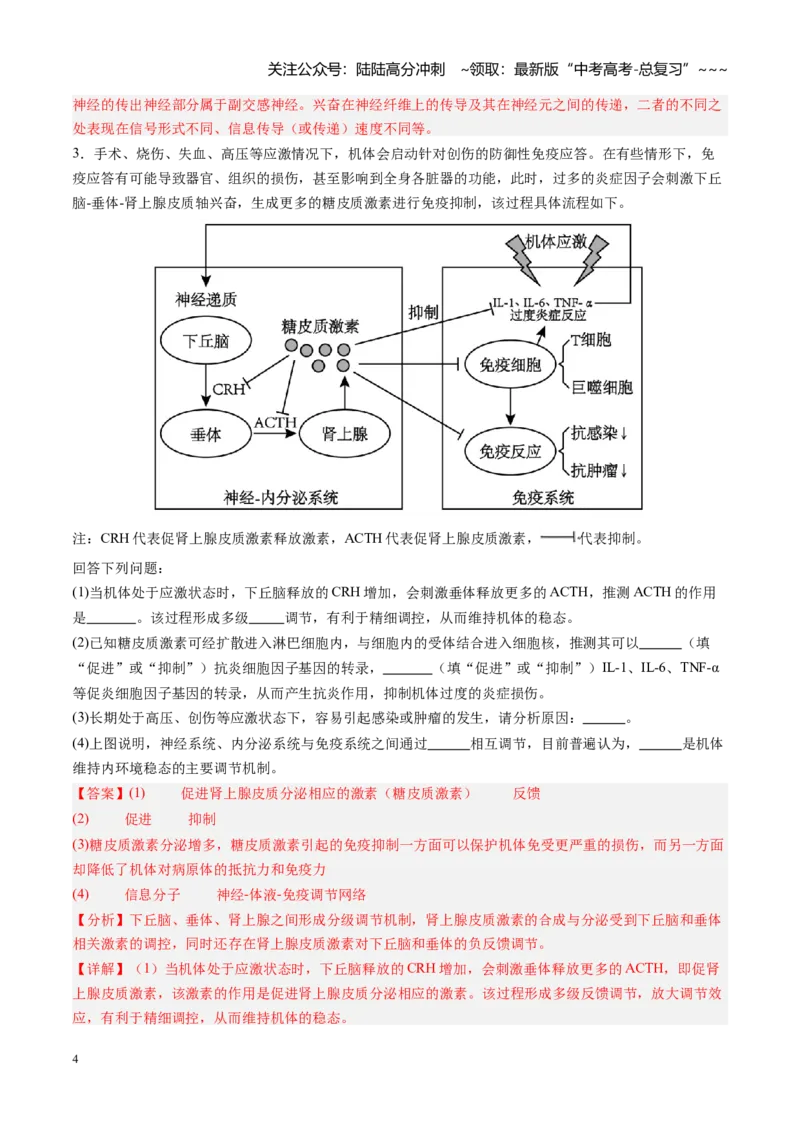 《第31讲动物生命活动调节的综合分析（专项训练）（安徽专用）（教师版）_06-生物-高考总复习_一轮复习_2026年-生物高考一轮复习_2026年高考生物一轮课件+讲义+练习（安徽专用）-G326》第4页预览