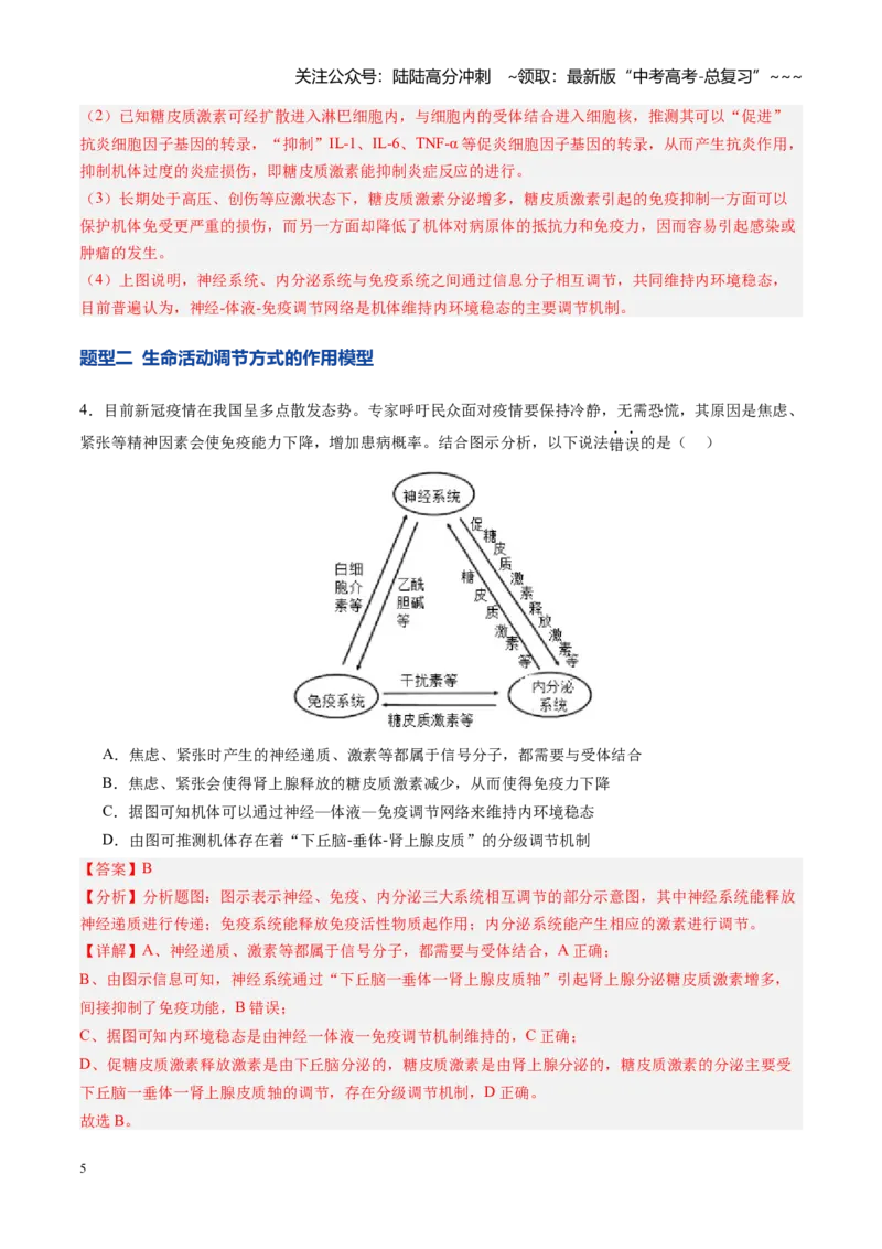 《第31讲动物生命活动调节的综合分析（专项训练）（安徽专用）（教师版）_06-生物-高考总复习_一轮复习_2026年-生物高考一轮复习_2026年高考生物一轮课件+讲义+练习（安徽专用）-G326》第5页预览