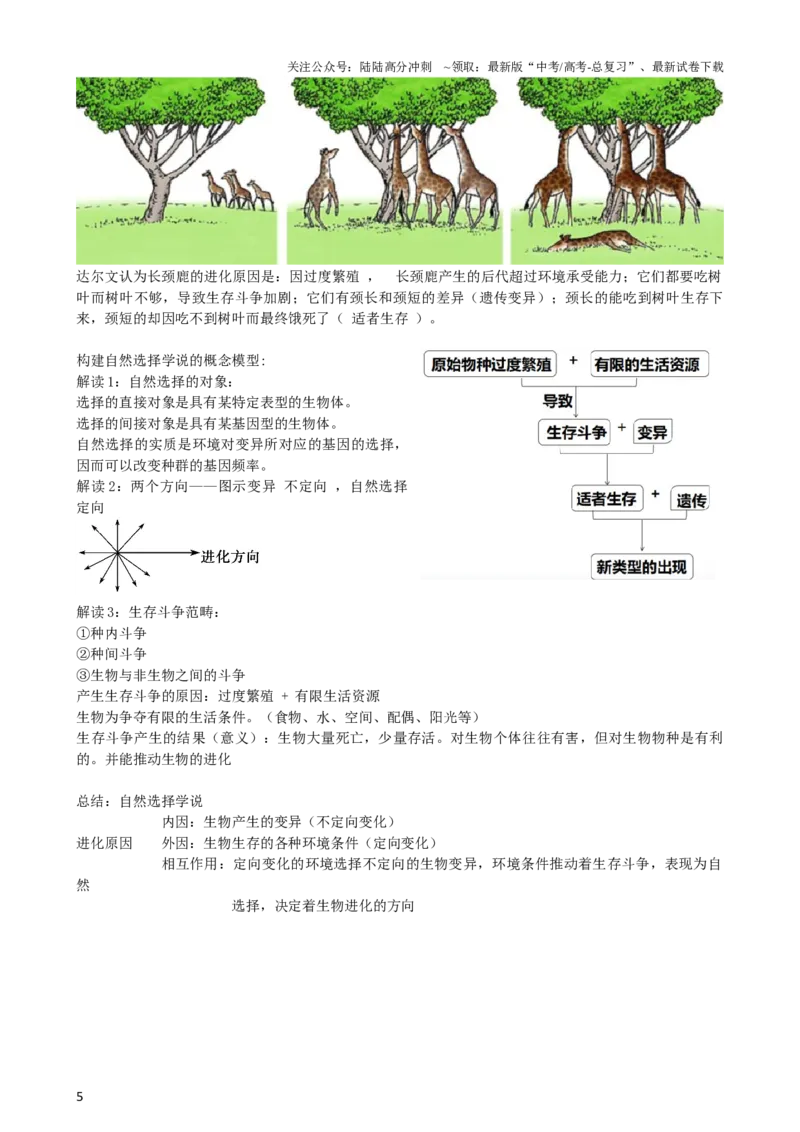 《第24讲生物的进化（讲义）（学生版）_06-生物-高考总复习_一轮复习_2024年_2024年高考生物一轮复习讲练测(课件+讲义+练习)（新高考）_讲义+练习》第5页预览