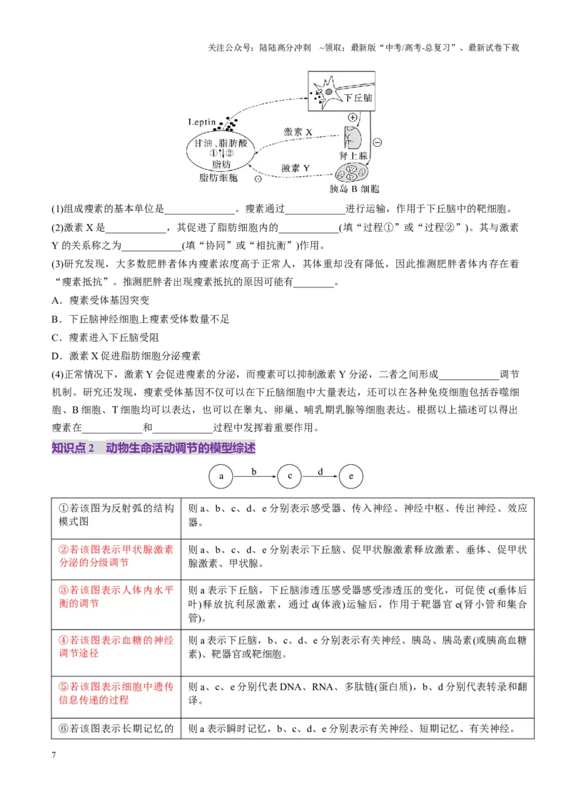 《第30讲动物生命活动调节的综合分析（讲义）（学生版）_06-生物-高考总复习_一轮复习_2025年_2025年新高考生物一轮复习讲义PPT知识点习题训_资料_第八单元稳态与调节》第7页预览