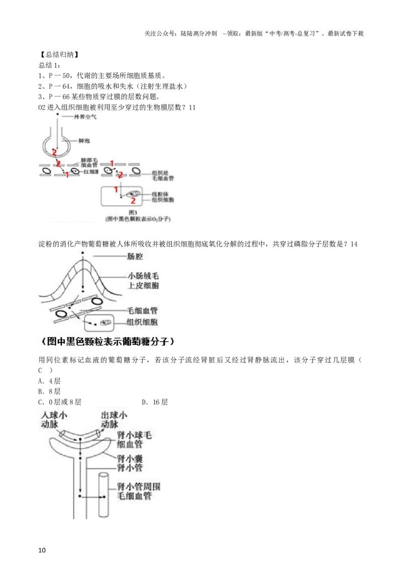 《第25讲内环境与稳态（讲义）（教师版）_06-生物-高考总复习_一轮复习_2024年_2024年高考生物一轮复习讲练测(课件+讲义+练习)（新高考）_讲义+练习》第10页预览