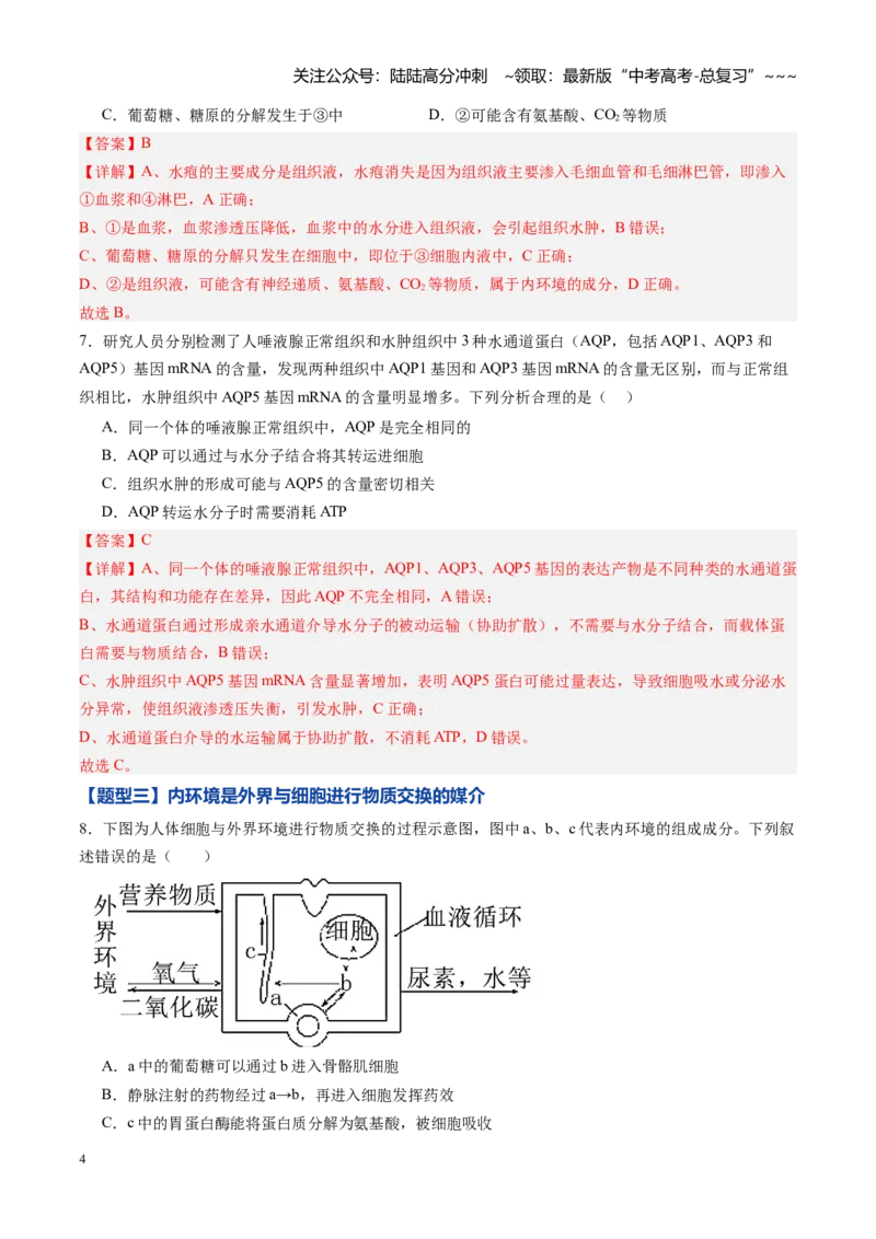《第22讲内环境与稳态（专项训练)（黑吉辽蒙专用）（教师版）_06-生物-高考总复习_一轮复习_2026年-生物高考一轮复习_2026年高考生物一轮课件+讲义+练习（黑吉辽蒙专用）-G330》第4页预览