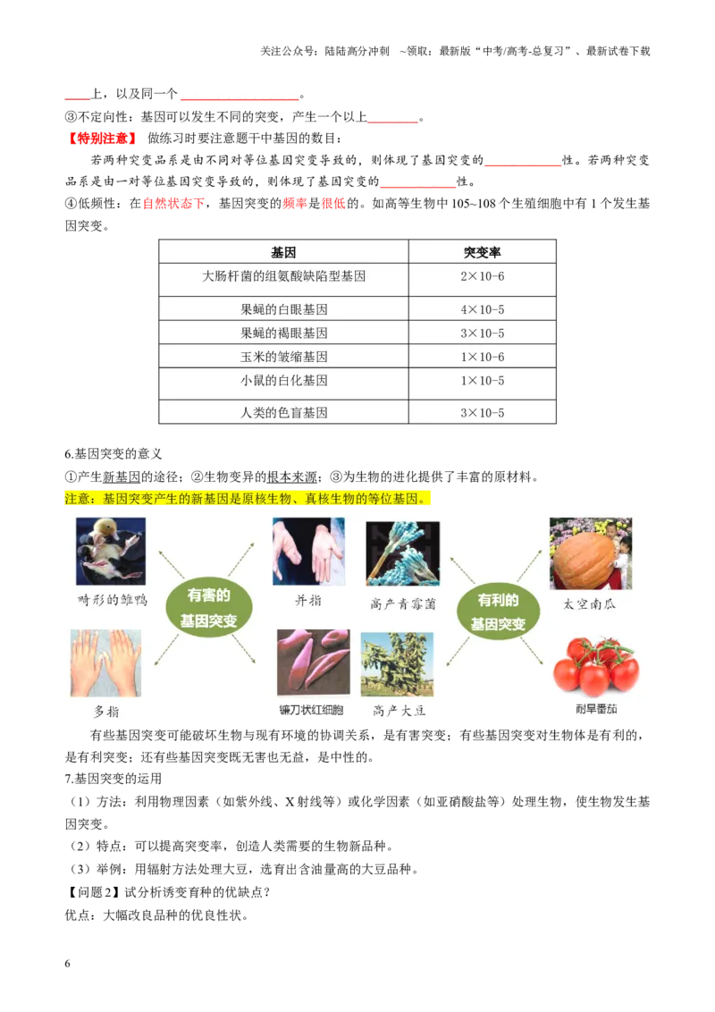 《第22讲生物的变异（第一课时，基因突变和基因重组）（讲义）（学生版）_06-生物-高考总复习_一轮复习_2025年_2025年高考生物一轮复习讲义+练习+课件（新教材新高考）》第6页预览