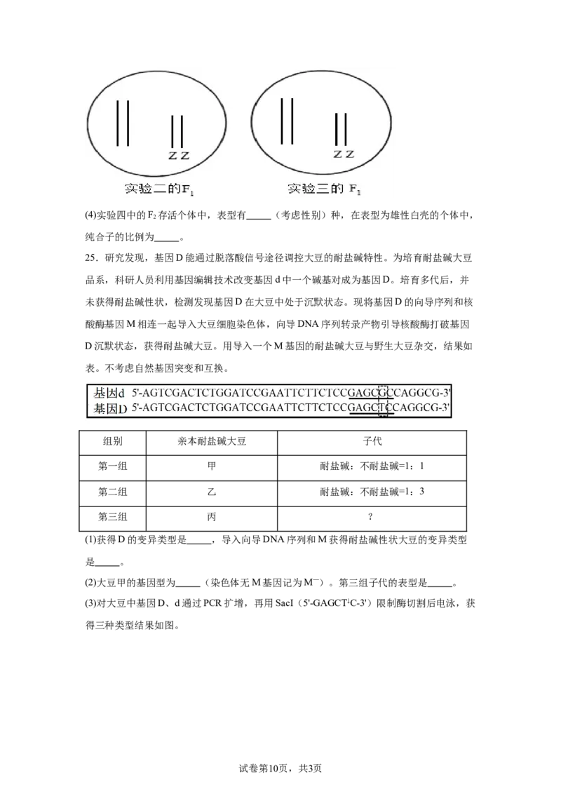 《19_山东省新高考联合体2024—2025学年高三上学期质量测评10月联考生物试题_2026版教学资源包_202653高考总复习A版_新高考_生物_教师A版2026年.新高考版.生物.53_优质模拟题精选（Word）》第10页预览
