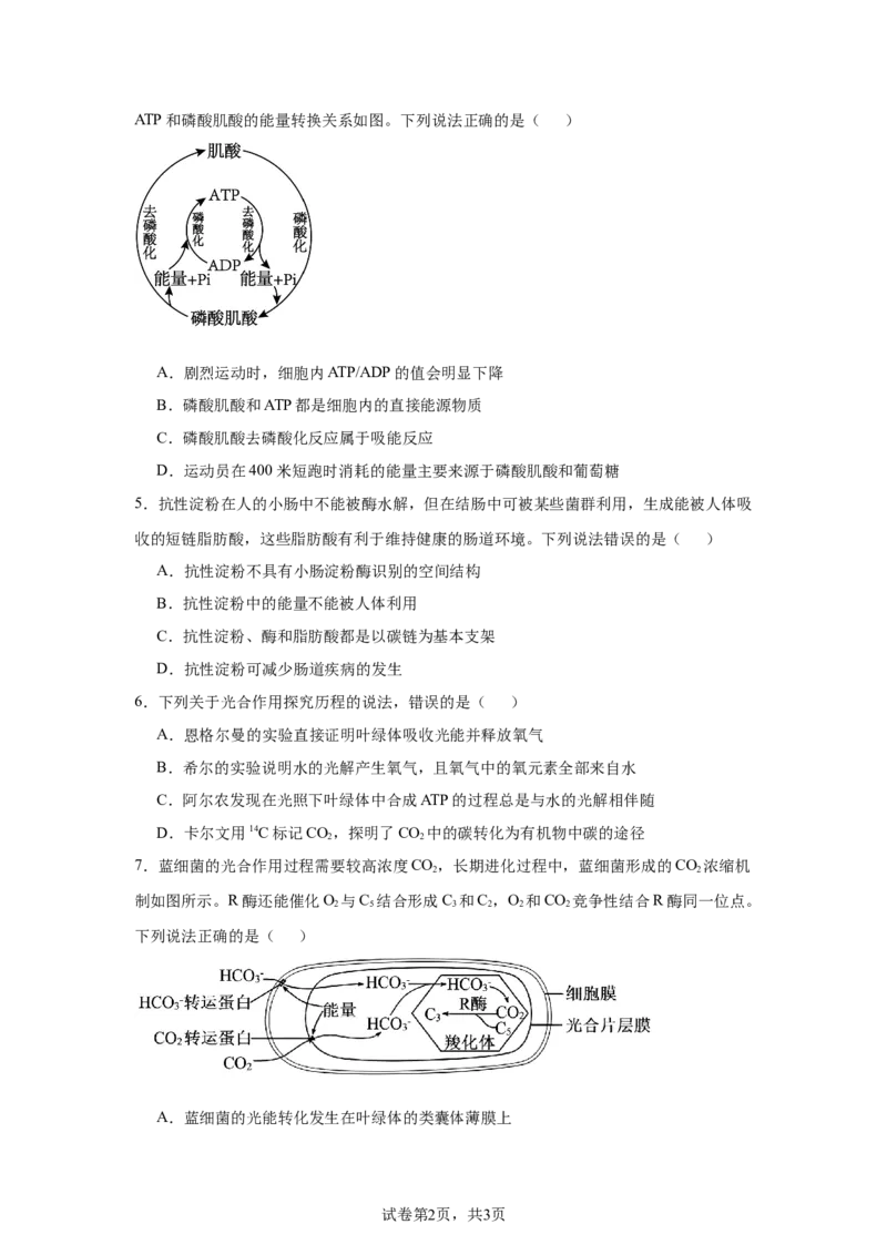 《19_山东省新高考联合体2024—2025学年高三上学期质量测评10月联考生物试题_2026版教学资源包_202653高考总复习A版_新高考_生物_教师A版2026年.新高考版.生物.53_优质模拟题精选（Word）》第2页预览