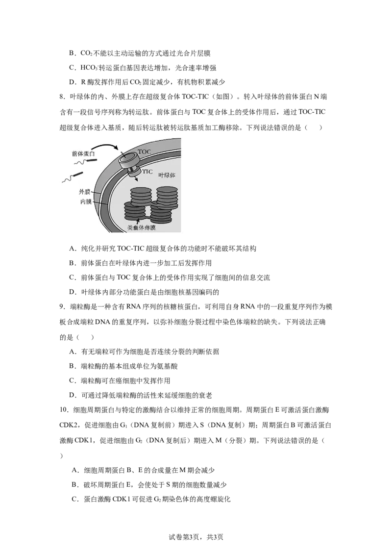 《19_山东省新高考联合体2024—2025学年高三上学期质量测评10月联考生物试题_2026版教学资源包_202653高考总复习A版_新高考_生物_教师A版2026年.新高考版.生物.53_优质模拟题精选（Word）》第3页预览