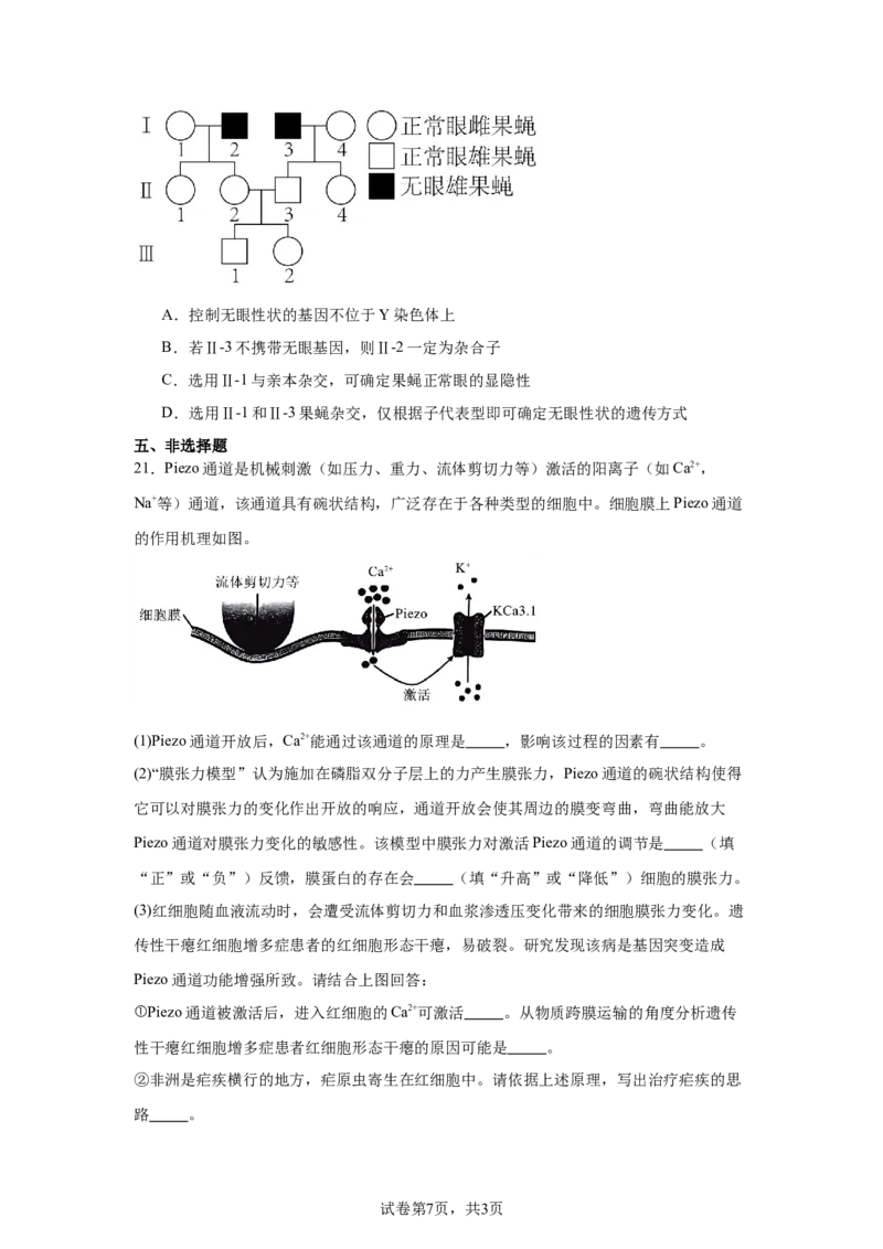 《19_山东省新高考联合体2024—2025学年高三上学期质量测评10月联考生物试题_2026版教学资源包_202653高考总复习A版_新高考_生物_教师A版2026年.新高考版.生物.53_优质模拟题精选（Word）》第7页预览