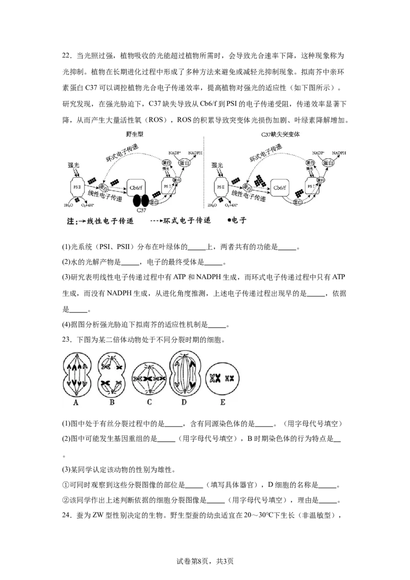《19_山东省新高考联合体2024—2025学年高三上学期质量测评10月联考生物试题_2026版教学资源包_202653高考总复习A版_新高考_生物_教师A版2026年.新高考版.生物.53_优质模拟题精选（Word）》第8页预览