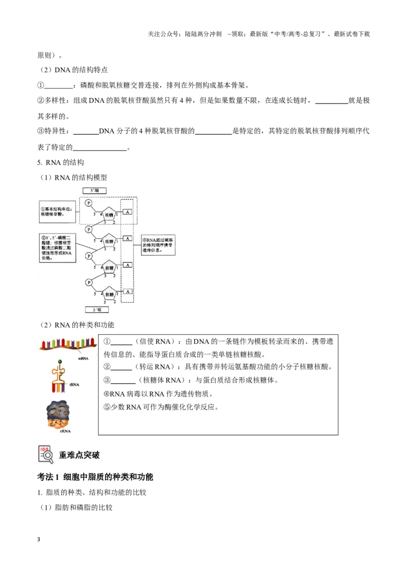 《考点2糖类、脂质、核酸的种类和作用（讲义）（原卷版）_06-生物-高考总复习_一轮复习_2024年_2023-2024学年高三生物一轮复习_资料》第3页预览