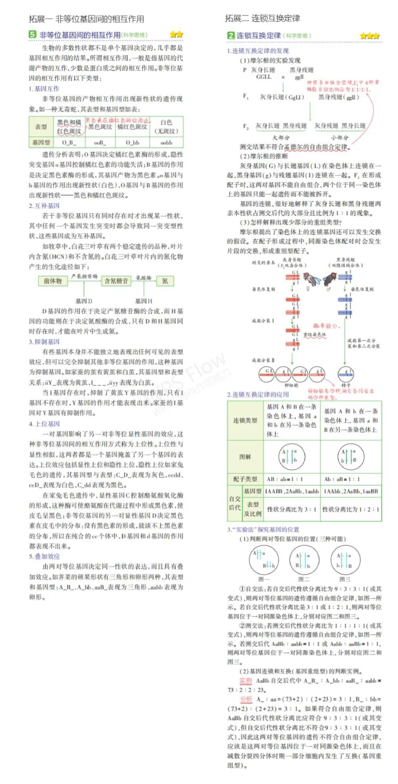 《1_7.专题十二基因的自由组合定律名家素材(1)_2023版教学资源包_2023版新高考版选考总复习生物5·3A版_12_专题十二基因的自由组合定律_7_名家备考素材摘要》第1页预览