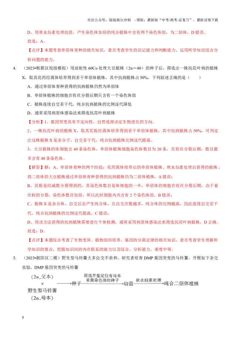 《考点26变异在育种上的应用（精练）（解析版）_06-生物-高考总复习_一轮复习_2024年_2023-2024学年高三生物一轮复习_资料》第3页预览