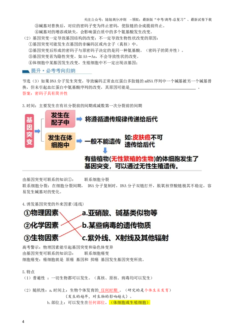《第23讲生物的变异（讲义）（教师版）_06-生物-高考总复习_一轮复习_2024年_2024年高考生物一轮复习讲练测(课件+讲义+练习)（新高考）_讲义+练习》第4页预览