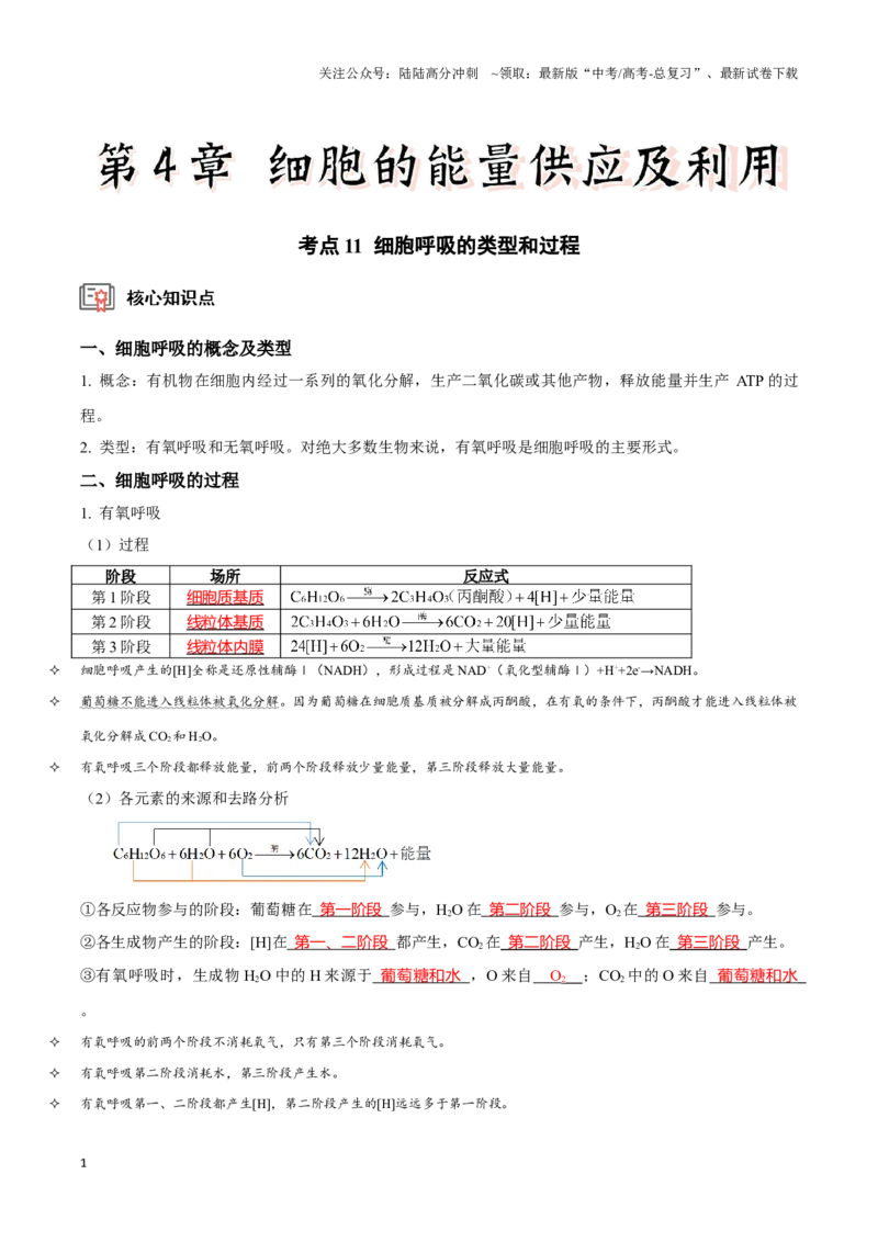 《考点11&12细胞呼吸的类型和过程及细胞呼吸的影响因素及应用（讲义）（解析版）_06-生物-高考总复习_一轮复习_2024年_2023-2024学年高三生物一轮复习_资料》第1页预览