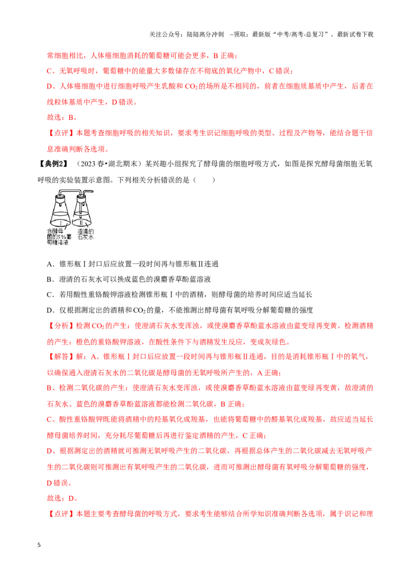《考点11&12细胞呼吸的类型和过程及细胞呼吸的影响因素及应用（讲义）（解析版）_06-生物-高考总复习_一轮复习_2024年_2023-2024学年高三生物一轮复习_资料》第5页预览