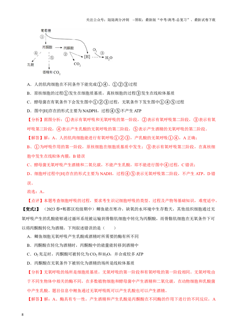 《考点11&12细胞呼吸的类型和过程及细胞呼吸的影响因素及应用（讲义）（解析版）_06-生物-高考总复习_一轮复习_2024年_2023-2024学年高三生物一轮复习_资料》第8页预览