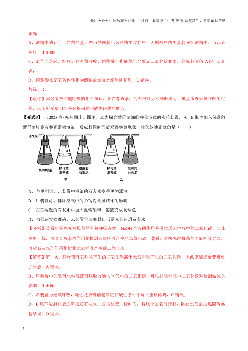 《考点11&12细胞呼吸的类型和过程及细胞呼吸的影响因素及应用（讲义）（解析版）_06-生物-高考总复习_一轮复习_2024年_2023-2024学年高三生物一轮复习_资料》第9页预览