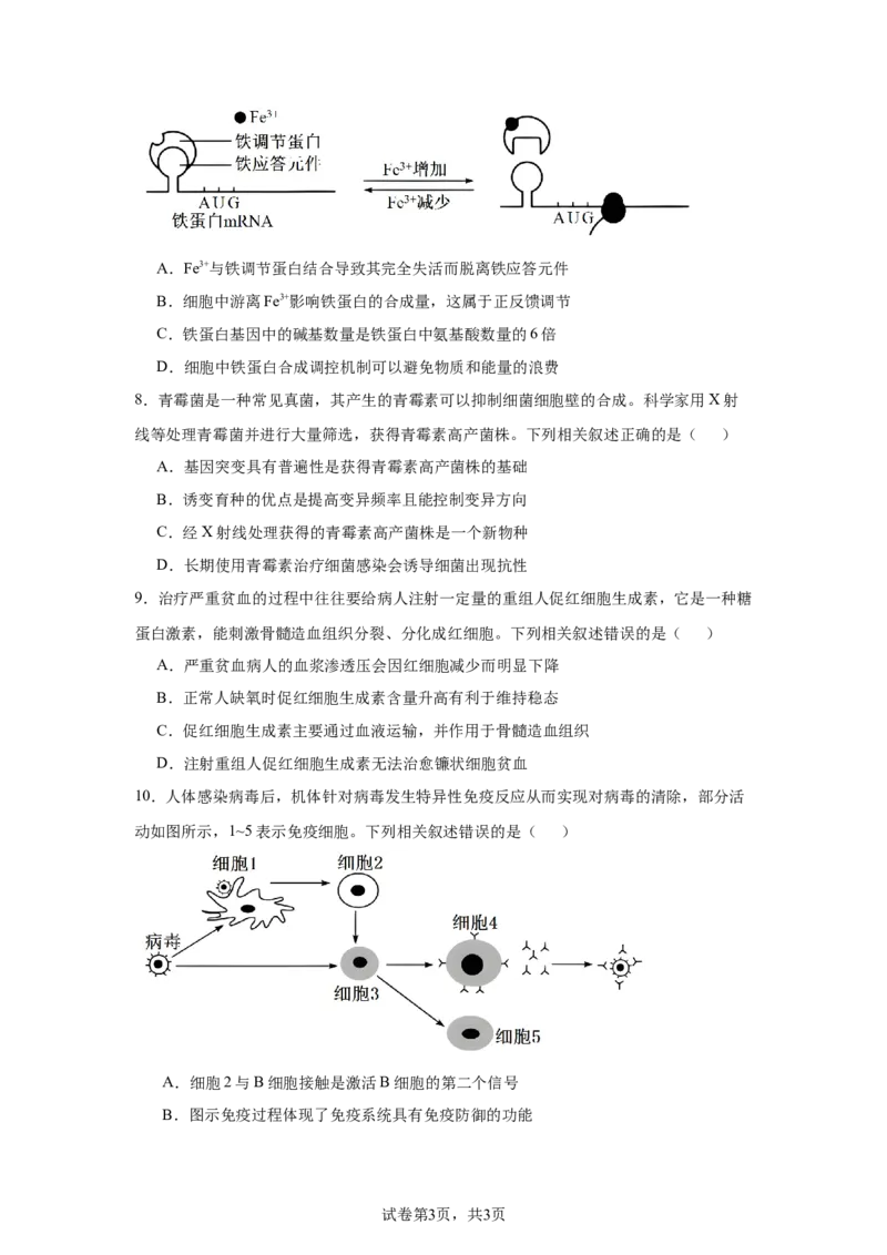 《18_安徽省多校联考2025届高三8月第一次联考生物试题_2026版教学资源包_202653高考总复习A版_新高考_生物_教师A版2026年.新高考版.生物.53_优质模拟题精选（Word）_1_资源拓展》第3页预览