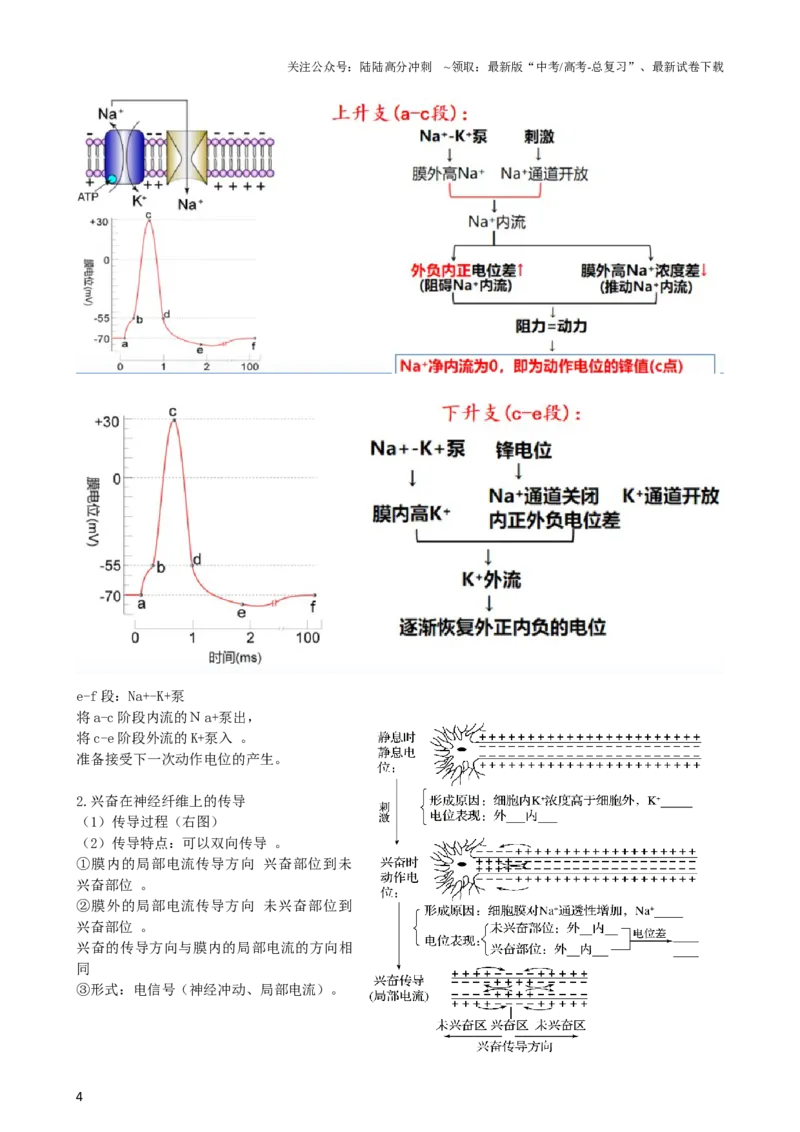 《第26.2讲神经冲动的产生、传导和传递（讲义）（教师版）_06-生物-高考总复习_一轮复习_2024年_2024年高考生物一轮复习讲练测(课件+讲义+练习)（新高考）_讲义+练习》第4页预览