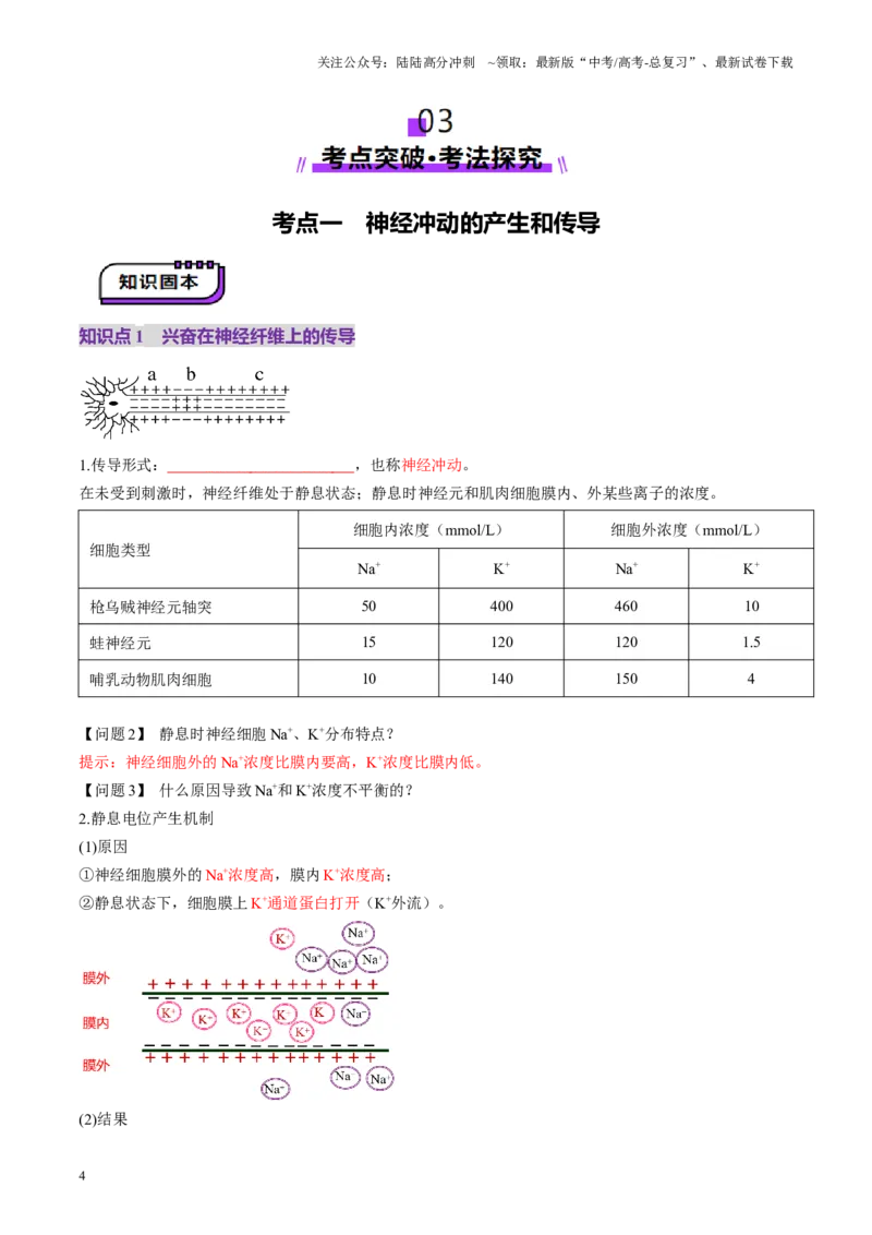《第25讲神经调节（第二课时，神经冲动的产生和传导、神经系统的分级调节和人脑的高级功能）（讲义）（学生版）_06-生物-高考总复习_一轮复习_2025年_第八单元稳态与调节》第4页预览