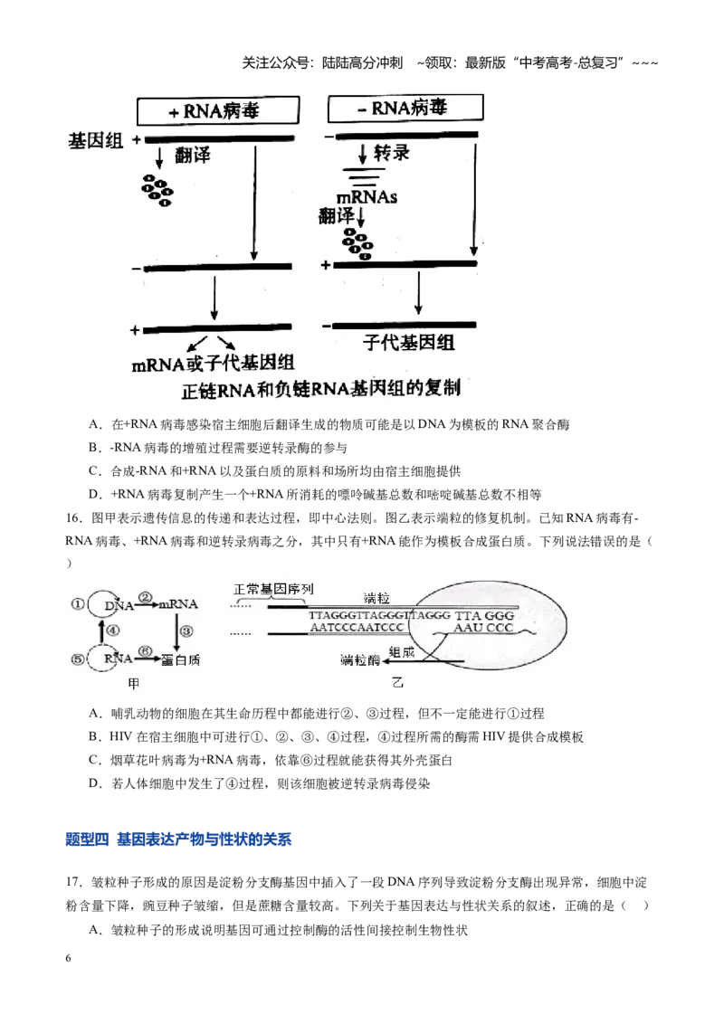 《第22讲基因的表达、基因与性状的关系（专项训练）（安徽专用）（学生版）_06-生物-高考总复习_一轮复习_2026年-生物高考一轮复习_2026年高考生物一轮课件+讲义+练习（安徽专用）-G326》第6页预览