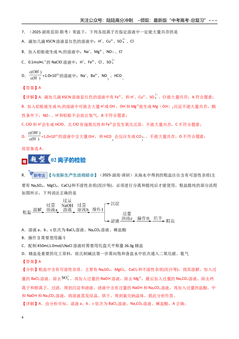 《第03讲离子共存、离子的检验与推断（专项训练）（湖南专用）（教师版）_05-化学-高考总复习_一轮复习_2026年-化学高考一轮复习_2026年高考化学一轮课件+讲义+练习（湖南专用）-G331》第4页预览