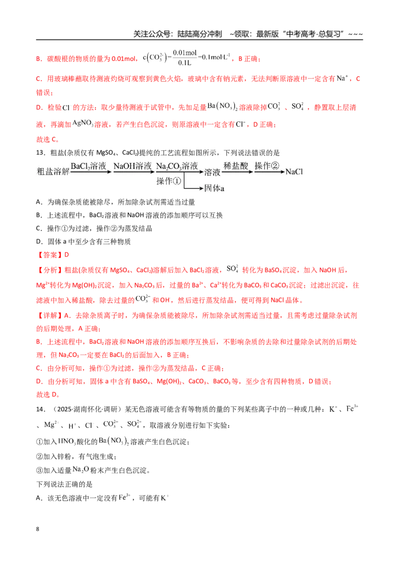 《第03讲离子共存、离子的检验与推断（专项训练）（湖南专用）（教师版）_05-化学-高考总复习_一轮复习_2026年-化学高考一轮复习_2026年高考化学一轮课件+讲义+练习（湖南专用）-G331》第8页预览