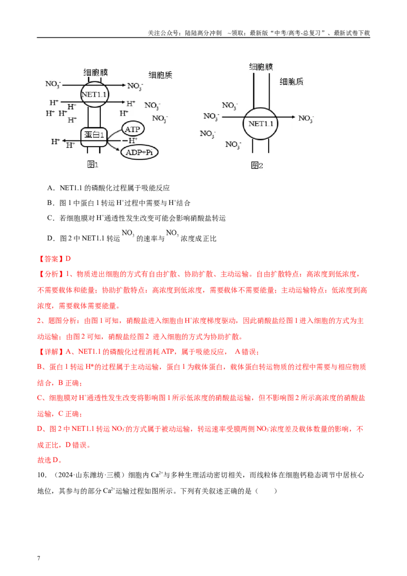 《第2单元小测03物质出入细胞的方式及影响因素（教师版）_06-生物-高考总复习_一轮复习_2025年_2025年高考生物一轮复习考点精讲精练（新高考通用）》第7页预览