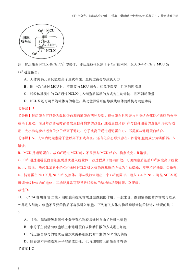 《第2单元小测03物质出入细胞的方式及影响因素（教师版）_06-生物-高考总复习_一轮复习_2025年_2025年高考生物一轮复习考点精讲精练（新高考通用）》第8页预览