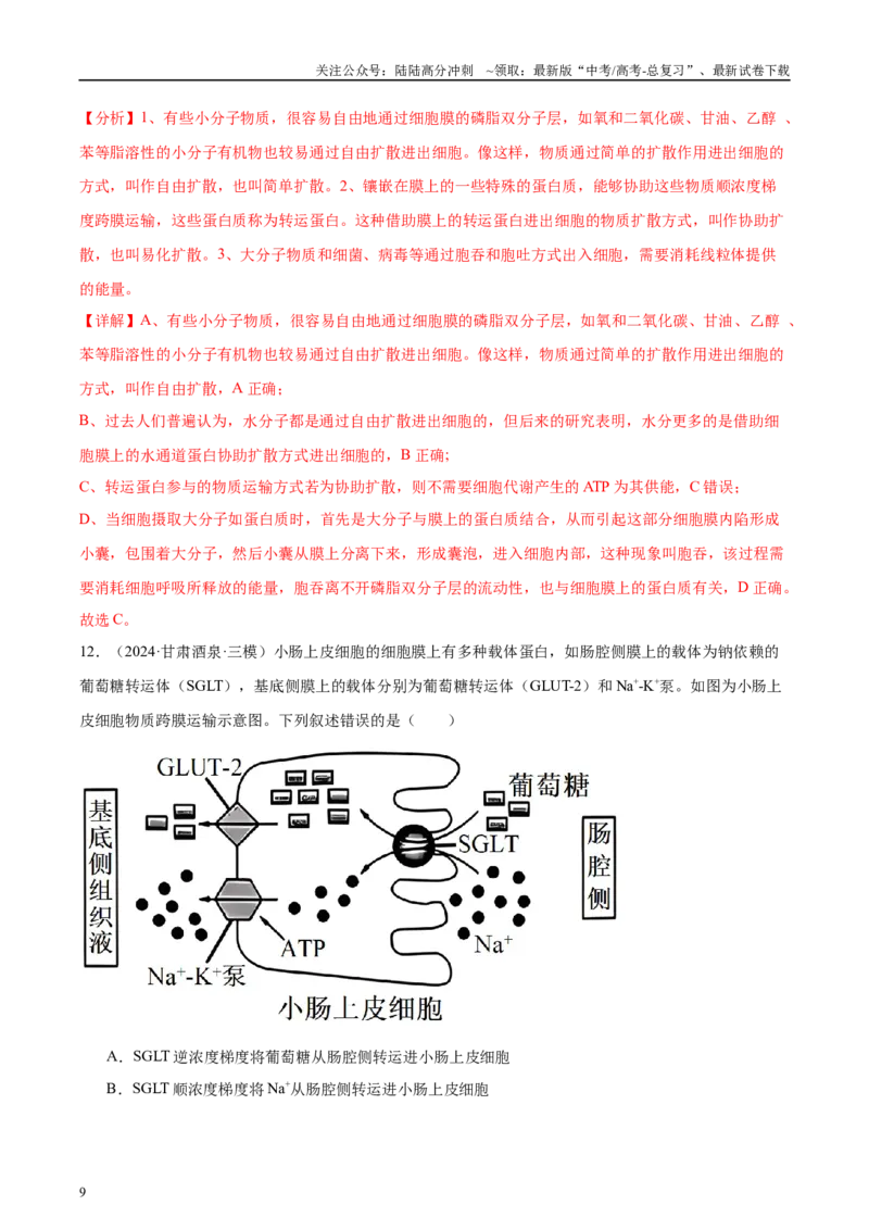 《第2单元小测03物质出入细胞的方式及影响因素（教师版）_06-生物-高考总复习_一轮复习_2025年_2025年高考生物一轮复习考点精讲精练（新高考通用）》第9页预览