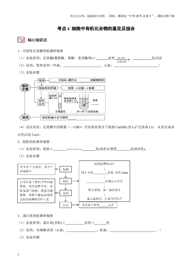 《考点3&4蛋白质的结构和功能、细胞中有机化合物的鉴定（讲义）（原卷版）_06-生物-高考总复习_一轮复习_2024年_2023-2024学年高三生物一轮复习_资料》第7页预览
