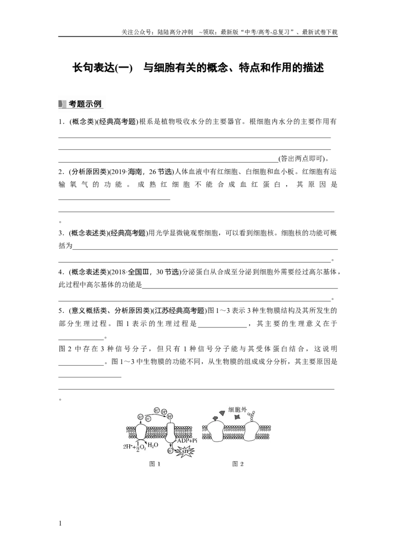 《第2单元　长句表达(一)　与细胞有关的概念、特点和作用的描述_06-生物-高考总复习_一轮复习_2024年_2024高考生物大一轮复习课件讲义新人教版知识总结_学生版在此文件夹_大一轮复习讲义》第1页预览