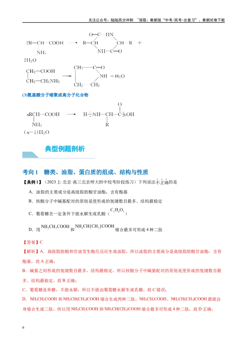 《第41讲生物大分子合成高分子（讲义）-（解析版）_05-化学-高考总复习_一轮复习_2024年_2024年高考化学大一轮复习卓越讲义_资料》第6页预览