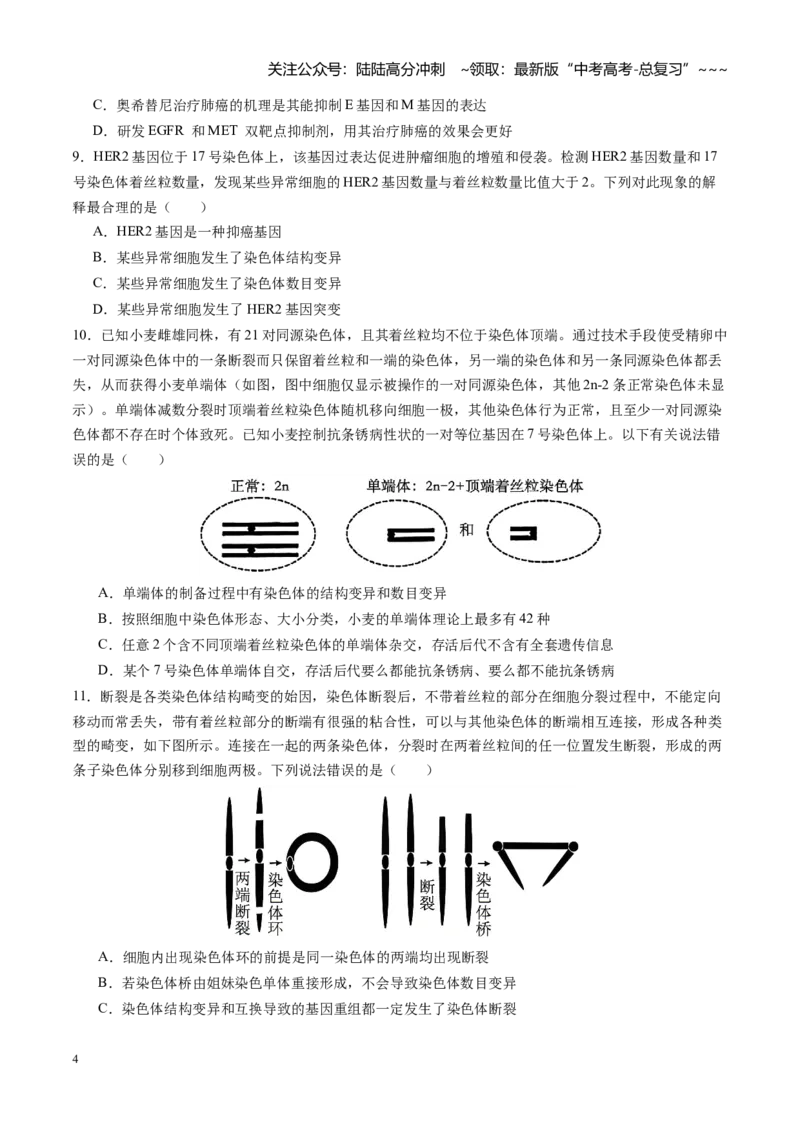 《第23讲生物的变异（专项训练）（安徽专用）（学生版）_06-生物-高考总复习_一轮复习_2026年-生物高考一轮复习_2026年高考生物一轮课件+讲义+练习（安徽专用）-G326》第4页预览